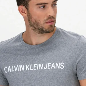 l'unique style Calvin Klein T-shirt Institutional L En Gris 11