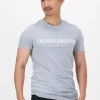 Acheter Maintenant Calvin Klein T-shirt Institutional Logo Slim Ss Tee En Gris 17