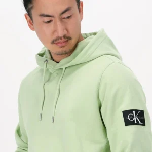 Calvin Klein Chandail Monogram Sleeve Badge Hoodie En Vert REMISE allant 11