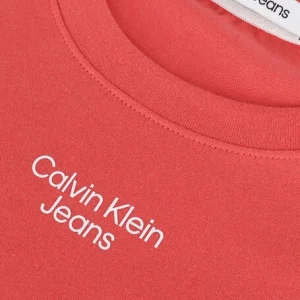 beauté Calvin Klein T-shirt Stacked Logo Tee En Orange 15