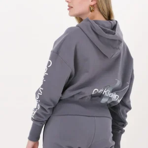 Top ventes Calvin Klein Chandail Back Two Tone Monogram Hoodie En Gris 9