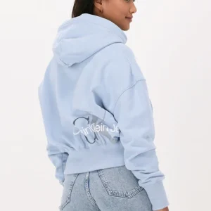 Calvin Klein Chandail Back Two Tone Monogram Hoodie Bleu Clair grande surprise 9