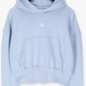 Calvin Klein Chandail Back Two Tone Monogram Hoodie Bleu Clair grande surprise 13