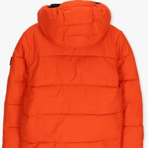 Calvin Klein Veste Matelassé Essential Puffer Jacket En Orange grossiste 9