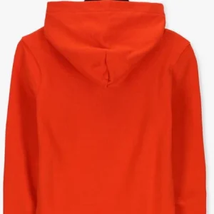 Calvin Klein Small Block Logo Hoodie En Rouge prix pas cher 9