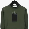 marques de renommée Calvin Klein Chandail Gradient Logo Sweatshirt En Vert 11