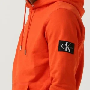 Nouvelle tendance Calvin Klein Chandail Monologo Sleeve Badge Hoodie En Orange 11