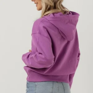 Calvin Klein Chandail Micro Monologo Hoodie Lilas à prix promos 9