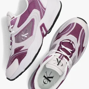 Meilleur Prix Garanti Calvin Klein Retro Tennis Dames Baskets Basses En Violet 16