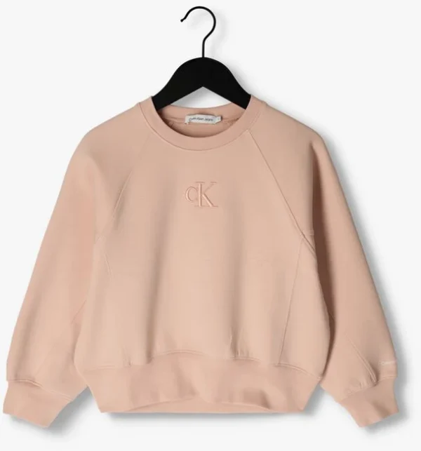 Calvin Klein Chandail Ck Embroidery Cn Sweatshirt En Rose vente en ligne pas cher 1