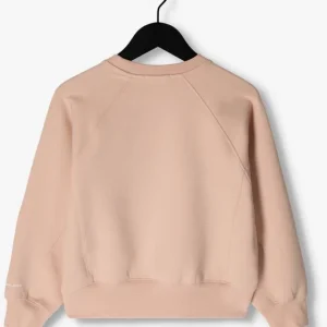 Calvin Klein Chandail Ck Embroidery Cn Sweatshirt En Rose vente en ligne pas cher 9