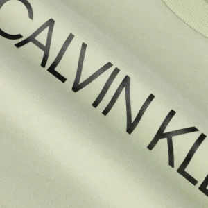 Calvin Klein T-shirt Institutional T-shirt En Vert magasin france 7