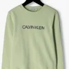 mode Calvin Klein Pull Institutional Logo Sweatshirt En Vert 11