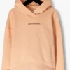 Pas Cher Magasin Soldes Calvin Klein Logo Boxy Hoodie En Orange 13