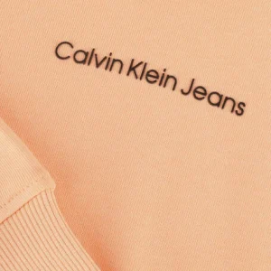 Pas Cher Magasin Soldes Calvin Klein Logo Boxy Hoodie En Orange 6