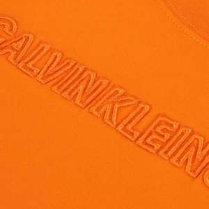 Calvin Klein T-shirt Raised Embro Logo T-shirt En Orange Retour Gratuit 6